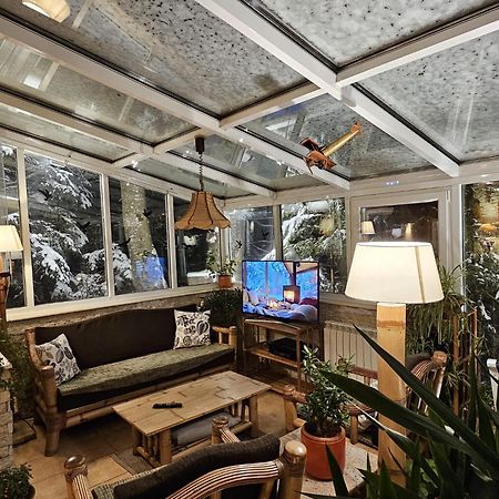 Boutique Hotel Forest Retreat (Adults Only) Буштені Екстер'єр фото