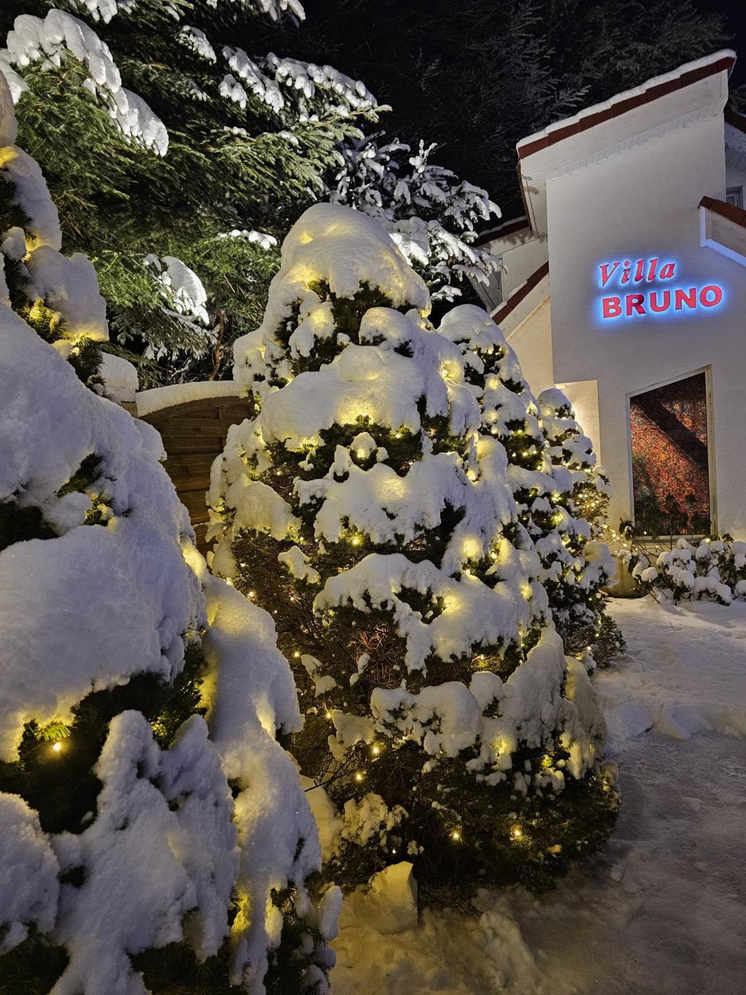 Boutique Hotel Forest Retreat (Adults Only) Буштені Екстер'єр фото