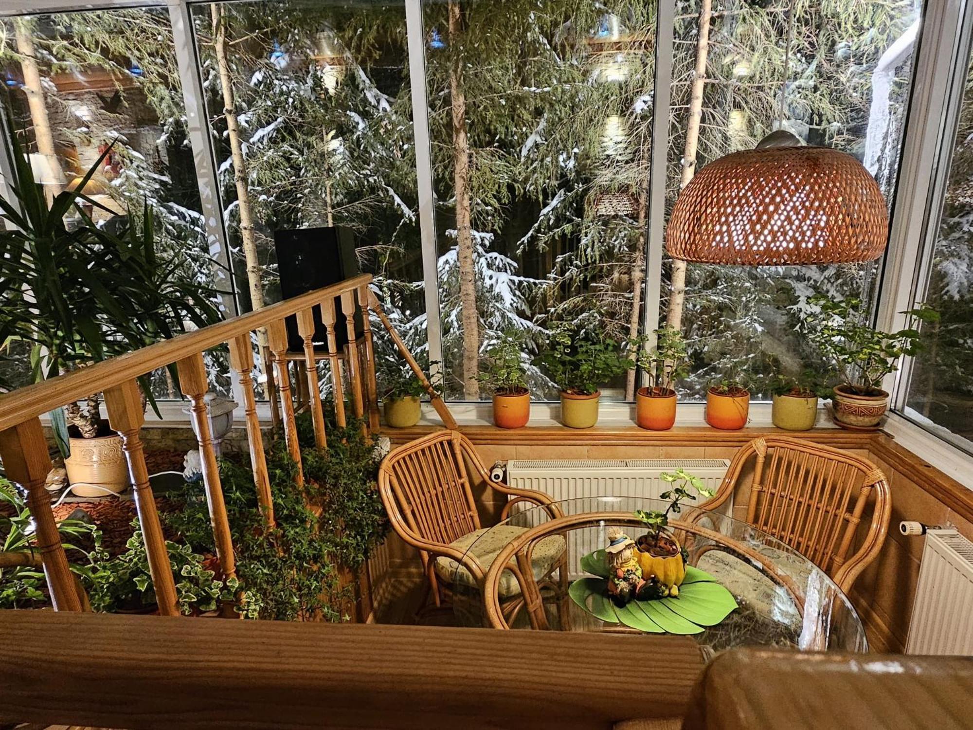 Boutique Hotel Forest Retreat (Adults Only) Буштені Екстер'єр фото